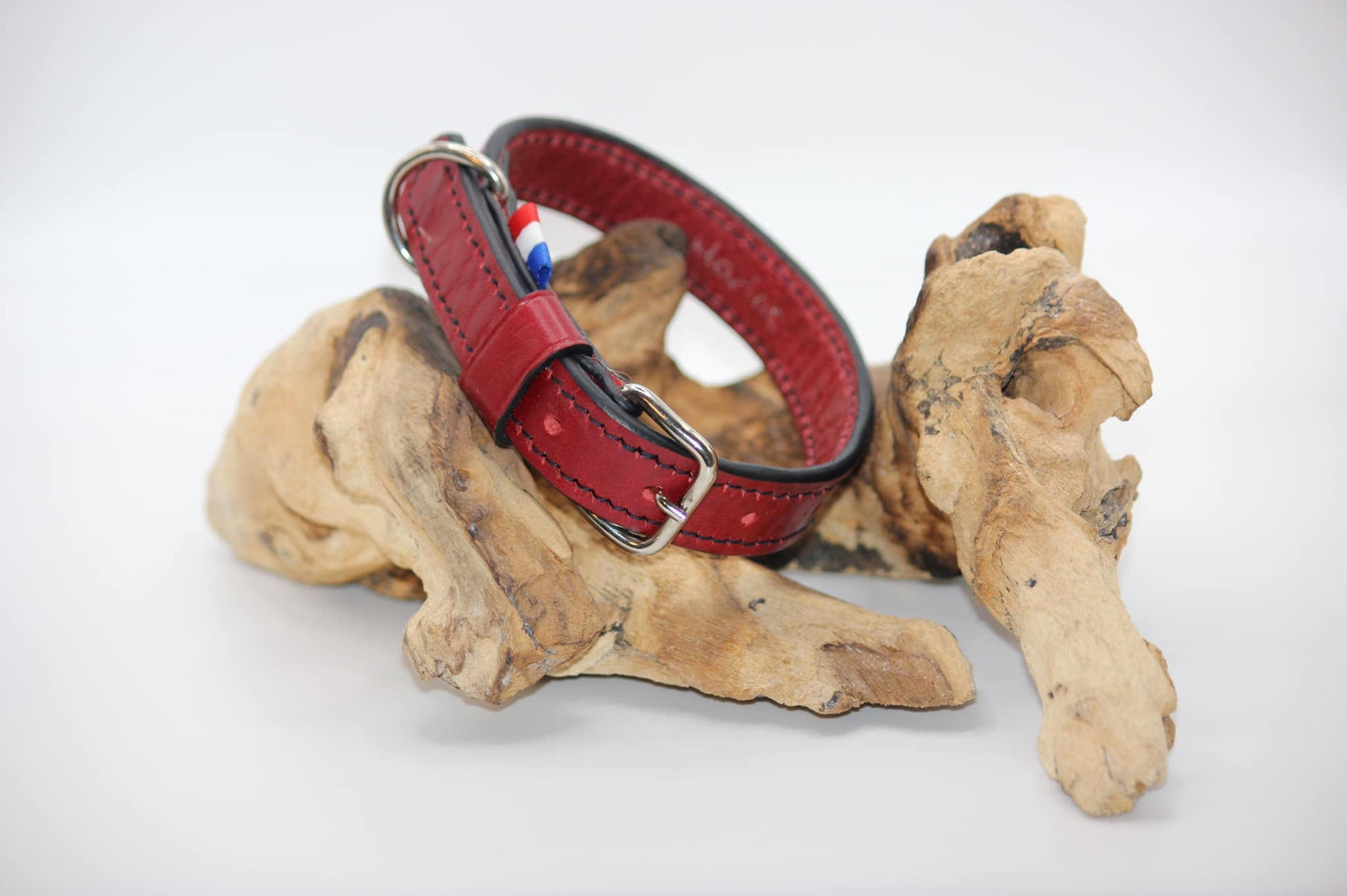 Collier chien - Personnalisé